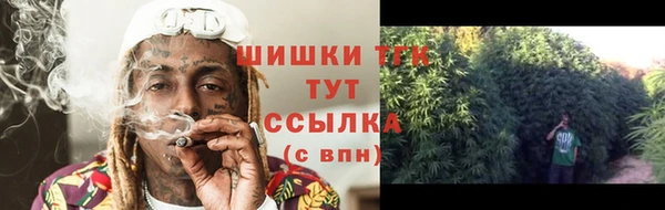 гидра Алексин